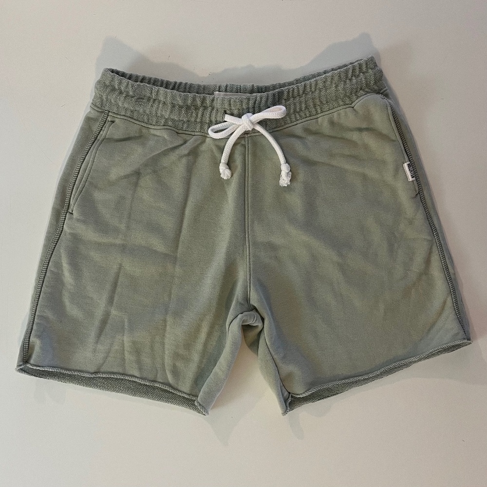 Hollister Drawstring Athletic Shorts Sage Green